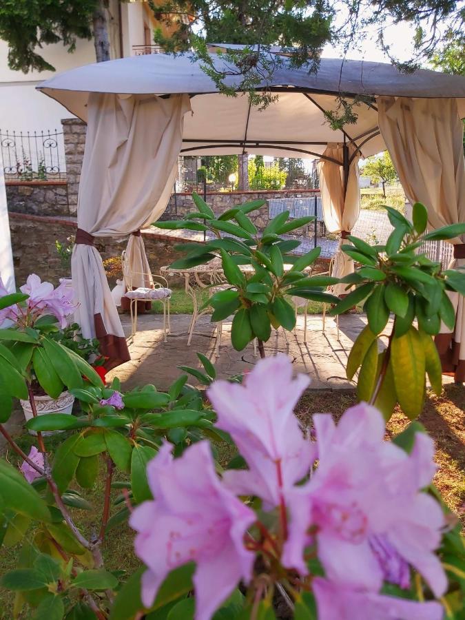 Villa Elvira Ambra エクステリア 写真